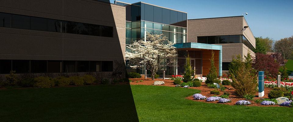 Abington Landscapers