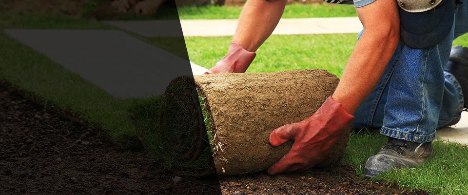 Abington Landscapers